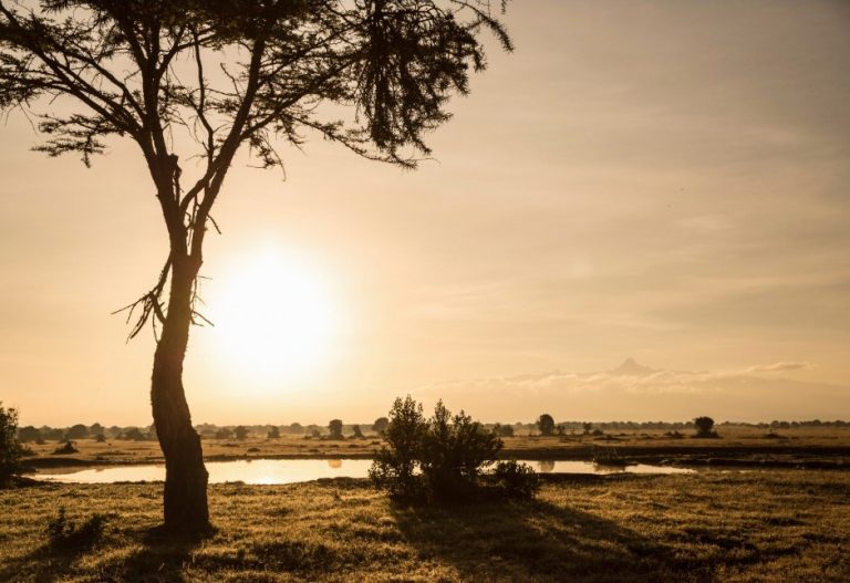 Cyril Ramaphosa Foundation Signs South African Climate Philanthropy Pledge and Champions Community-Led Climate Action